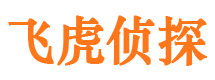 加查市调查公司